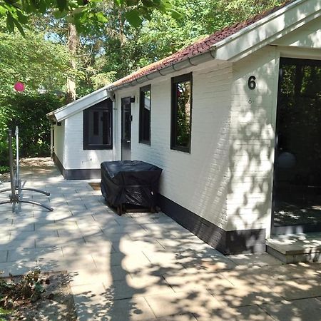 Relaxed Luxe "Boszichthuisje" Met Jacuzzi Bospark Ijsselheide Hattemerbroek 外观 照片
